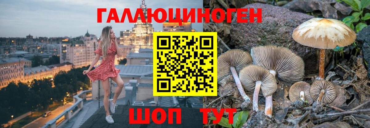 Галлюциногенные грибы Magic Shrooms Изобильный